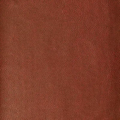 Sparta-124