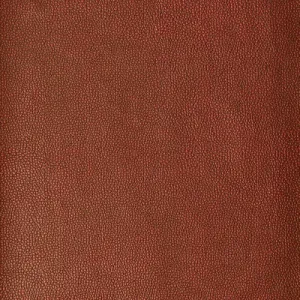 Sparta-124