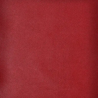 Sparta-19