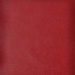 Sparta-19