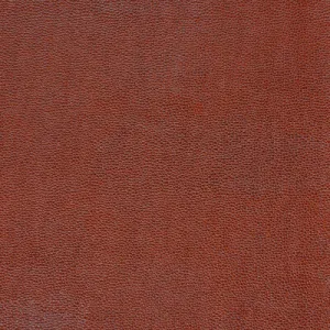 Sparta-624