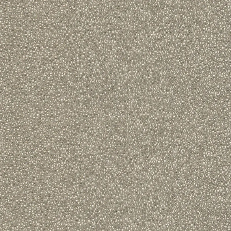 Stingray-Fossil