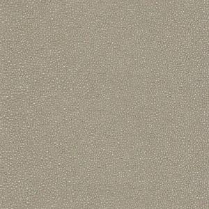 Stingray-Fossil