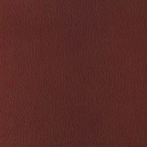 Sugarmaple-19