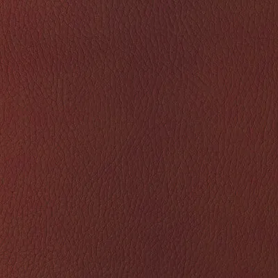 Sugarmaple-19