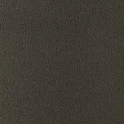 Sugarmaple-6