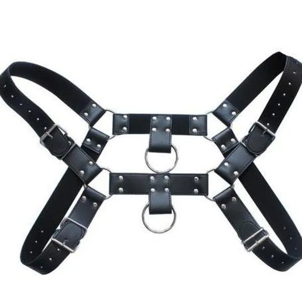 The Ares Harness