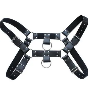 The Ares Harness