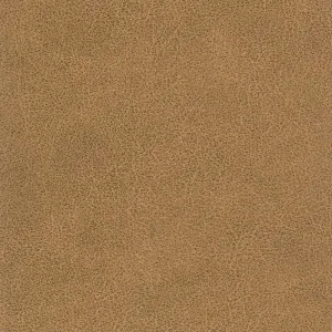 Tucson-Buckskin