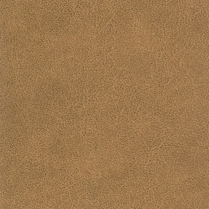 Tucson-Buckskin