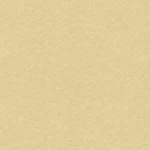 Ultrasuede-1611Bb