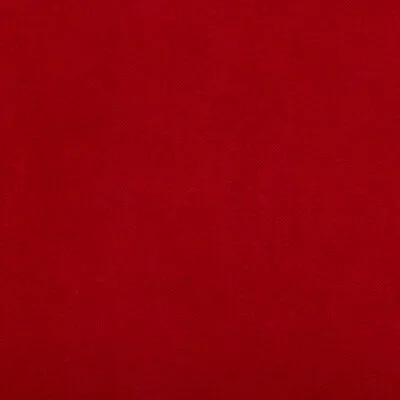 Ultrasuede Green-Ladybug