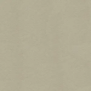 Ultrasuede Green-Pebble