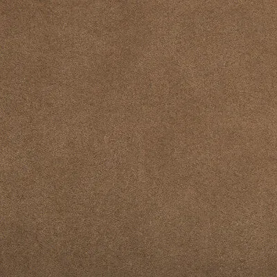 Ultrasuede-Mole Skin