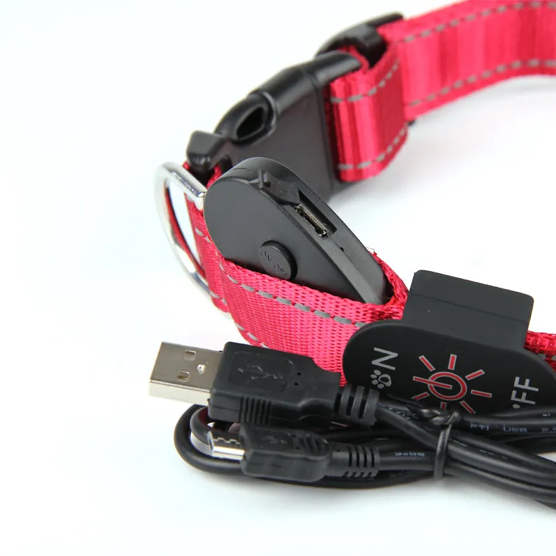 USB LED Dog Collars