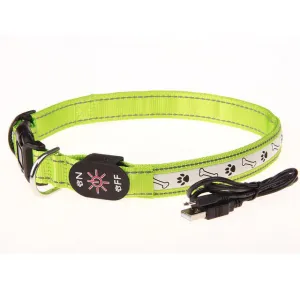 USB LED Dog Collars