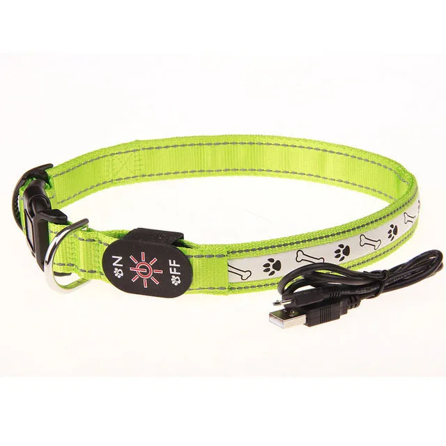 USB LED Dog Collars