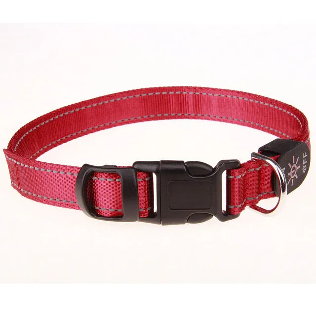 USB LED Dog Collars