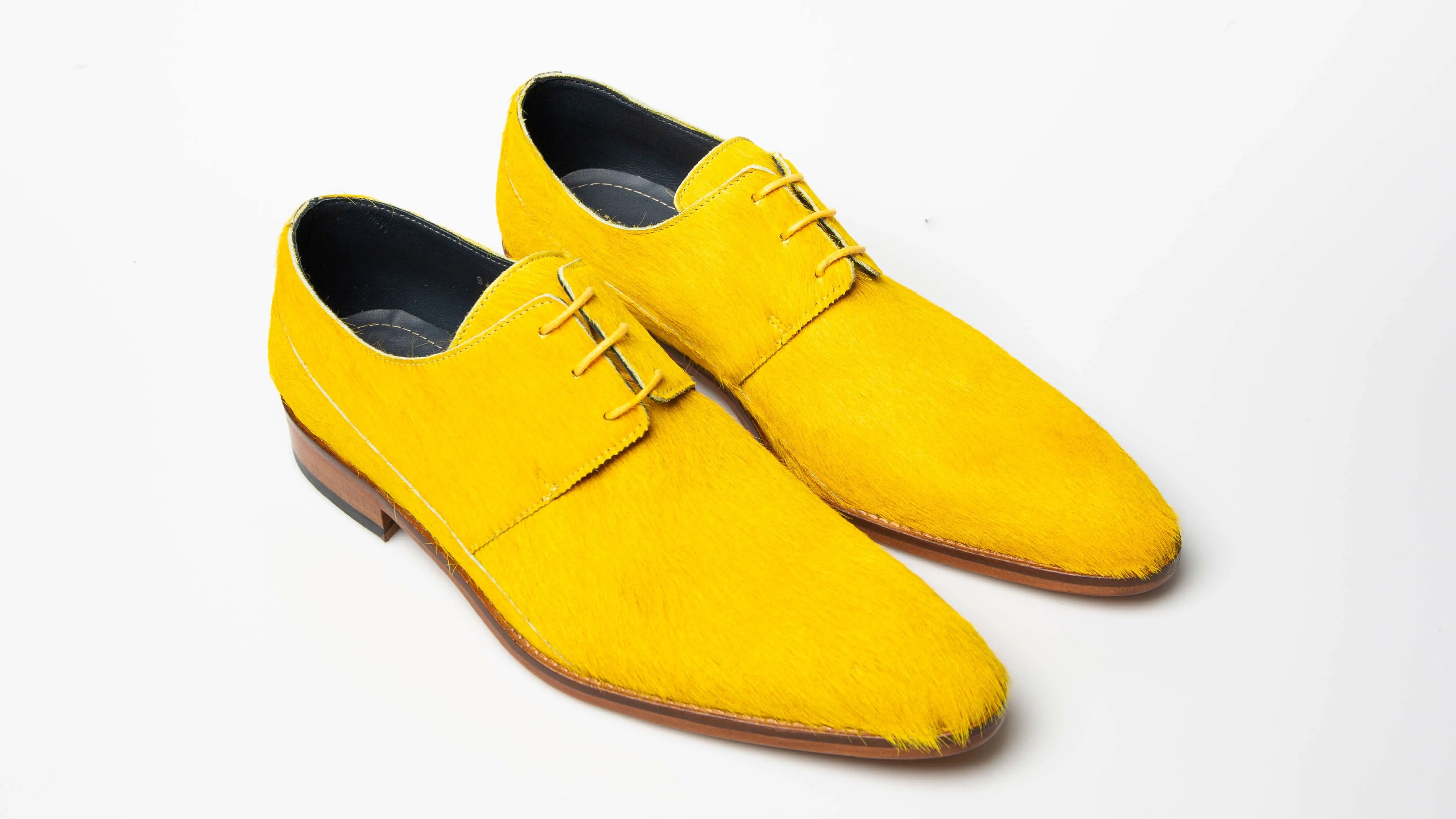 Yellow Canary 