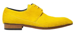 Yellow Canary 